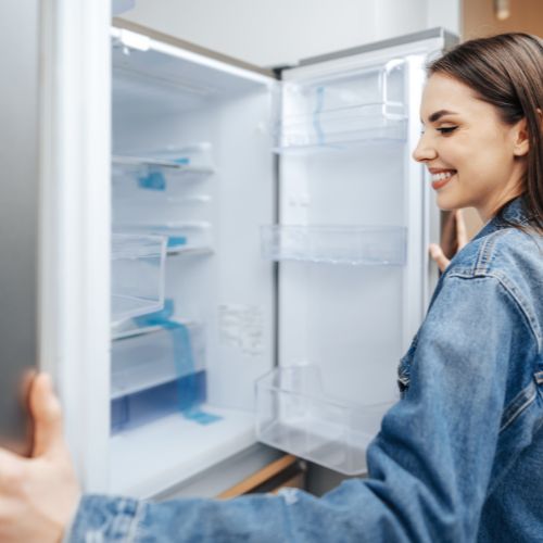 Como escolher a geladeira certa para sua casa