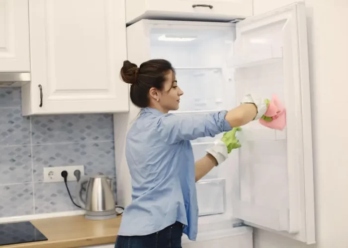 Dicas de manutenção para prolongar a vida útil da geladeira